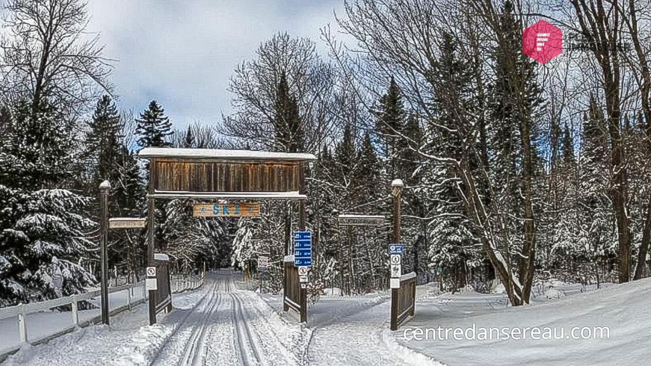 Le Bleu Bourgeois De Portneuf - Natural Elegance - Hot Tub, Sauna And Pool Pont-Rouge Экстерьер фото